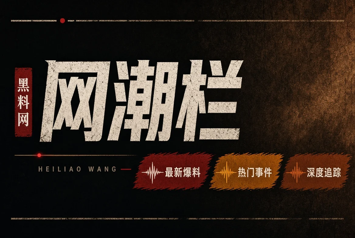 网浪栏网络文化与短视频传播主题
